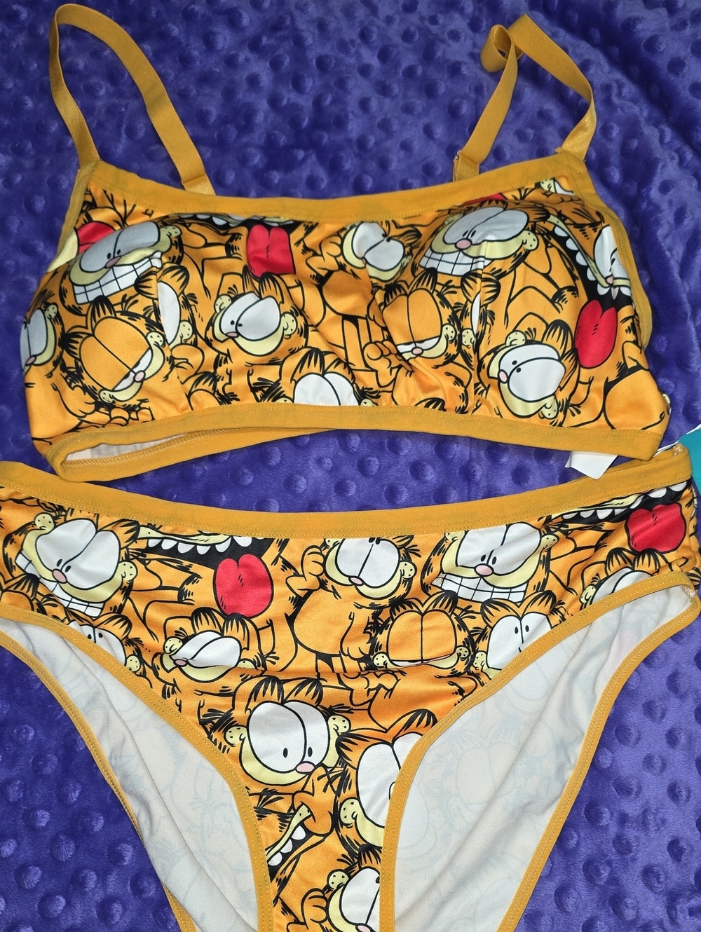 Nickelodeon Yellow Orange Garfield Cartoon Bra and Pantie Set